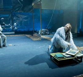 Спектакль «Преступник со справкой»