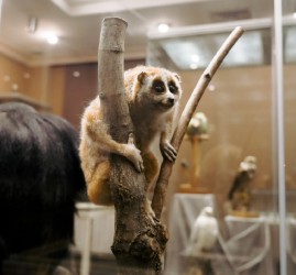 Выставка «Сокровища контрабандистов»