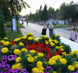 Фестиваль цветов «GreenMarket» 2025