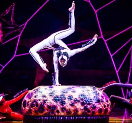 Шоу Cirque du Soleil «OVO» 2018
