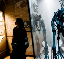 «Ночь музеев» в Казанском Кремле 2026