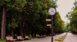 Заголовок статьи