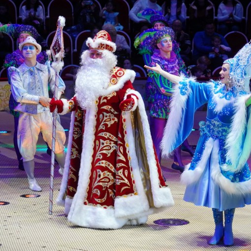Новогодний цирк Деда Мороза 2021-2022