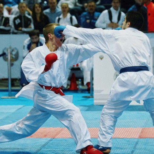 Чемпионат России по каратэ 2019