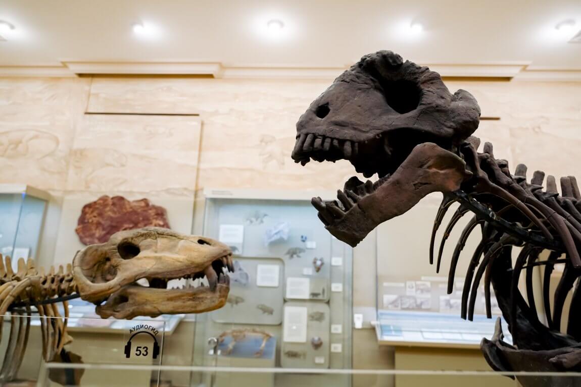 Фото: kazan-kremlin.ru