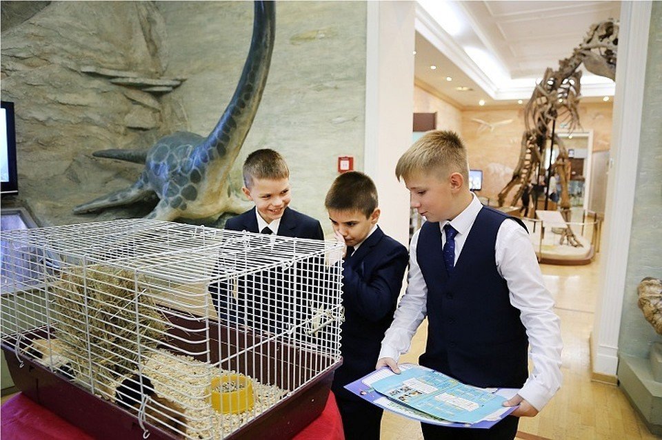 Всемирный День Земли в Музее естественной истории Татарстана 2018
