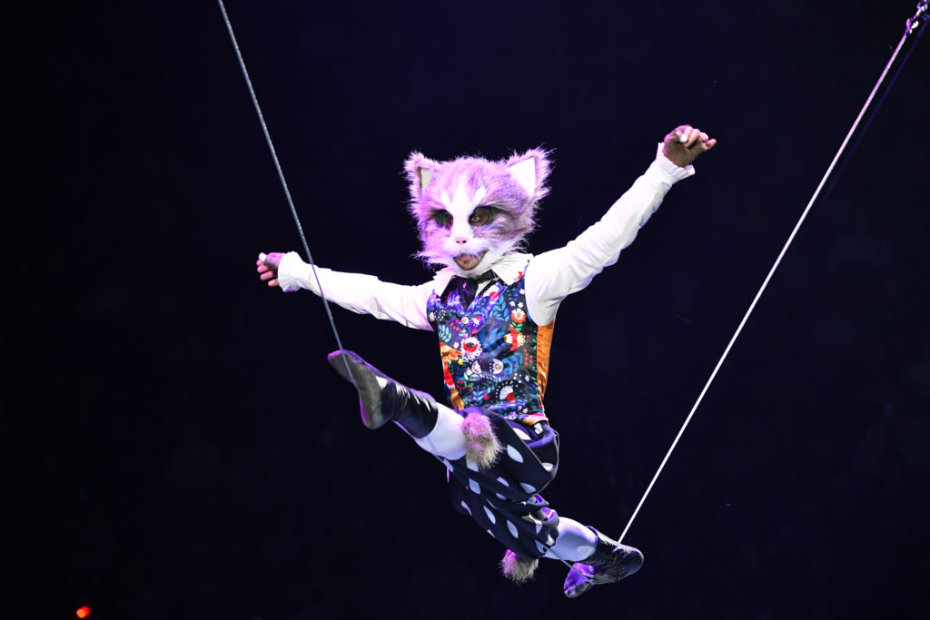 Цирковое шоу «Как кот на Новый год счастье принёс» 2023–2024