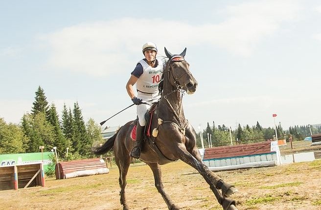 Всероссийские соревнования по конному спорту 2017