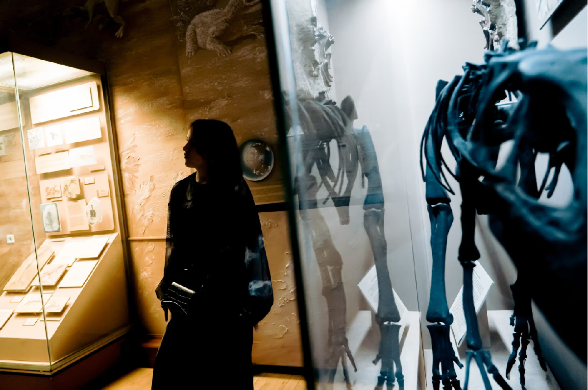 Фото: kazan-kremlin.ru